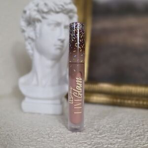 5/$25 LiveGlam Les Do Makeup Liquid Lip In Pastel